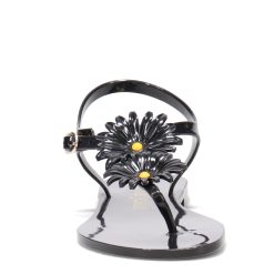 Women's Petite Jolie, Sturgis Sandal -Anuschka shop 1 2224147 ZM 2