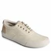 Men's Sperry, Striper II CVO SeaCycled Sneaker 2 Men's Sperry, Striper II CVO SeaCycled Sneaker -Anuschka shop 1 2531244 ZM